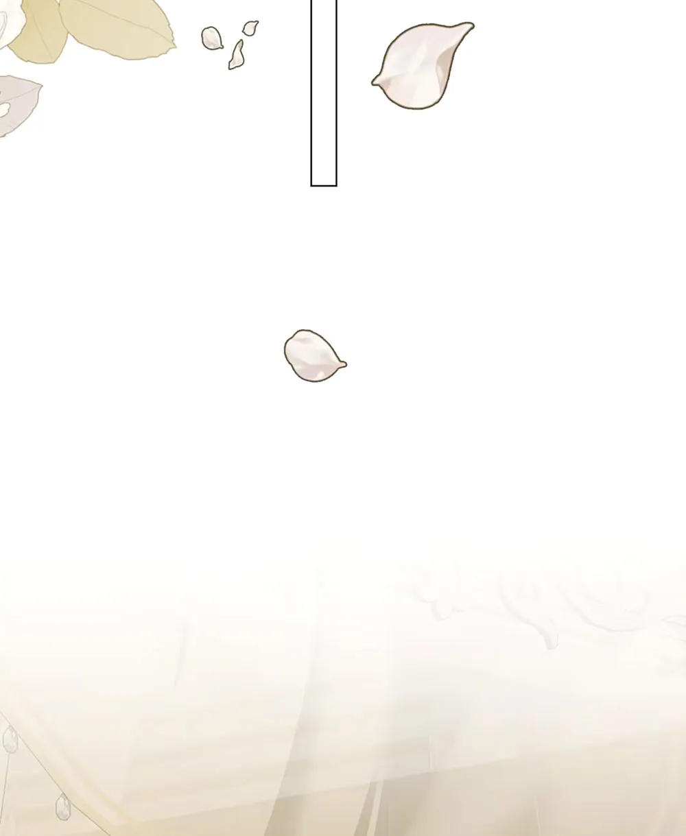 5 El príncipe y la pantera negra