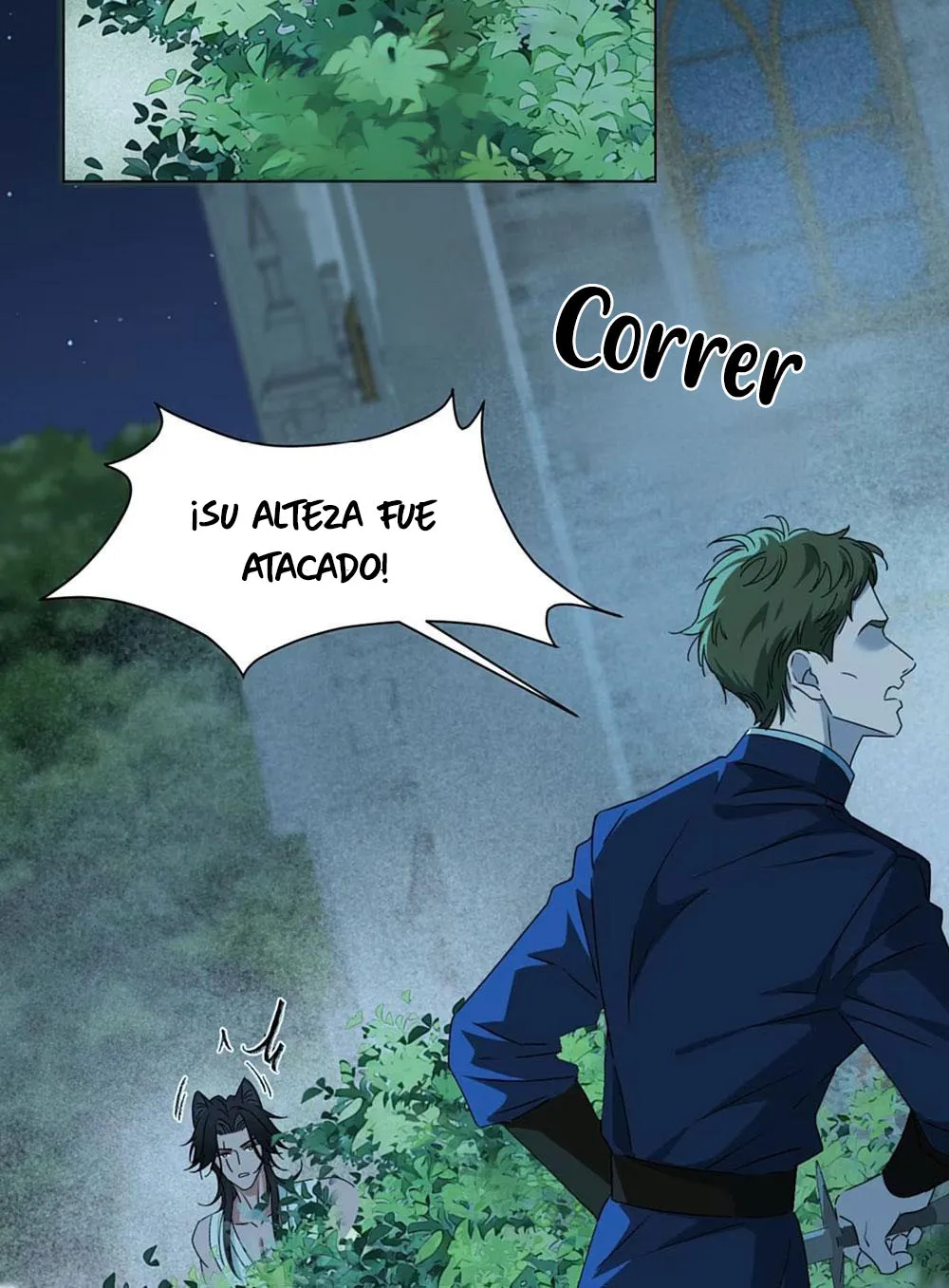 43 El príncipe y la pantera negra