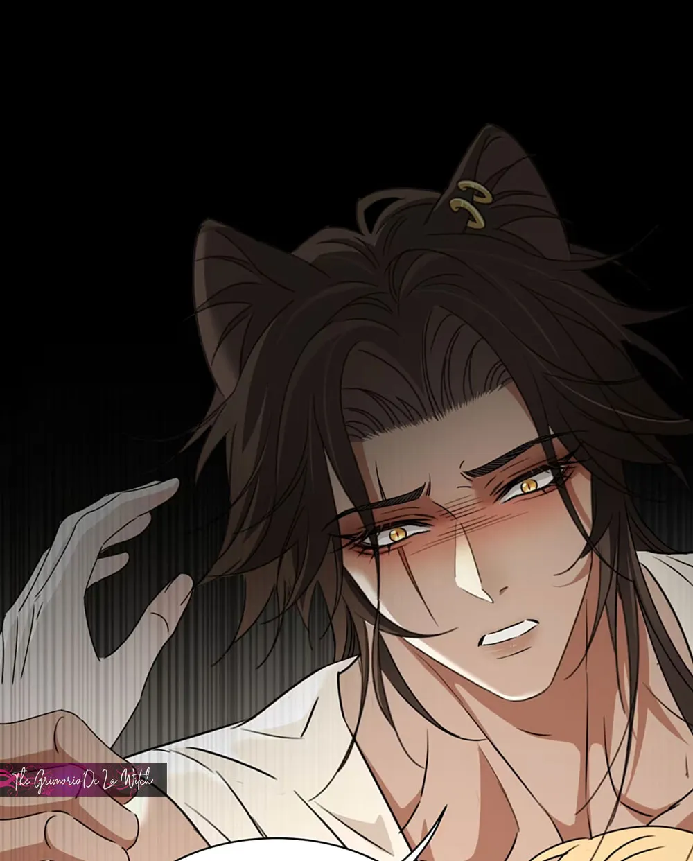 1 El príncipe y la pantera negra