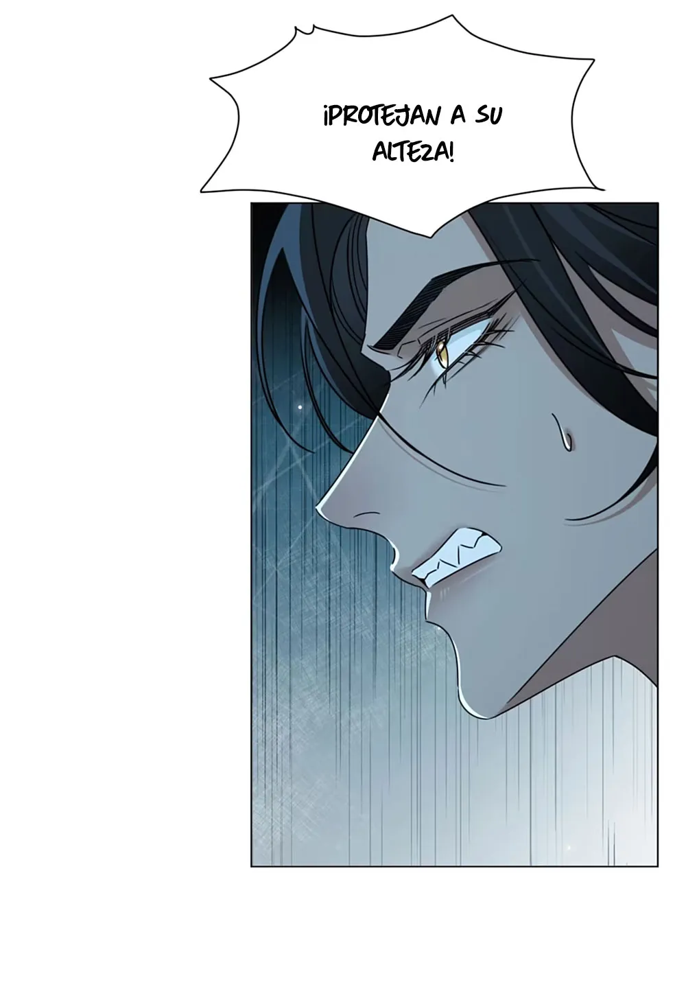 10 El príncipe y la pantera negra