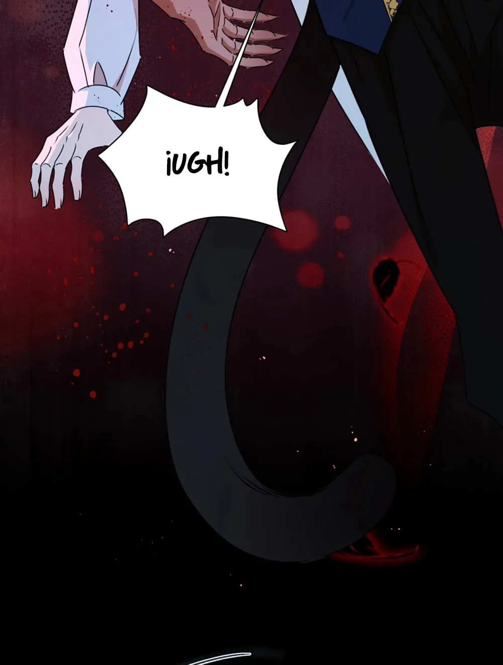 17 El príncipe y la pantera negra