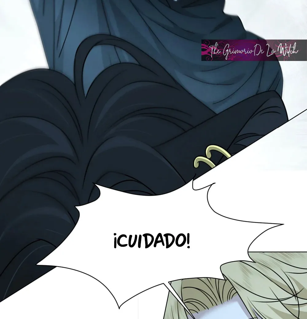 14 El príncipe y la pantera negra