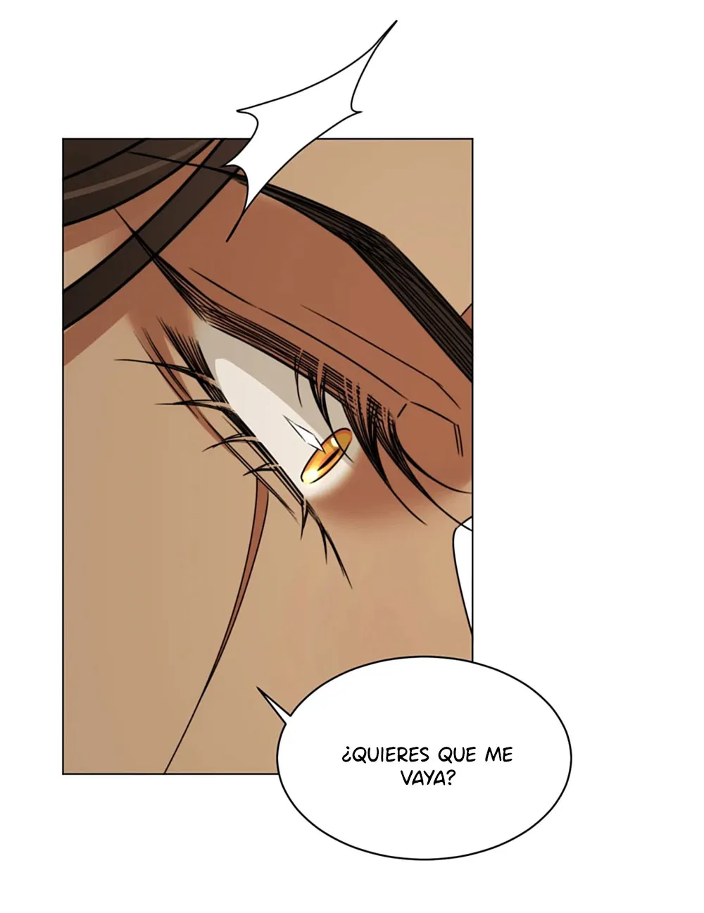 25 El príncipe y la pantera negra