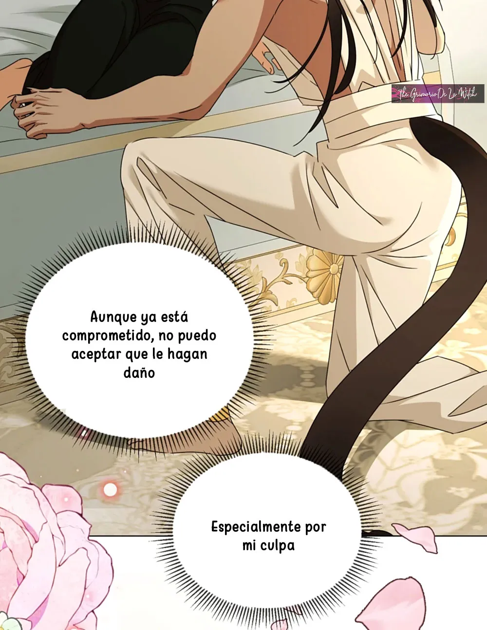 6 El príncipe y la pantera negra