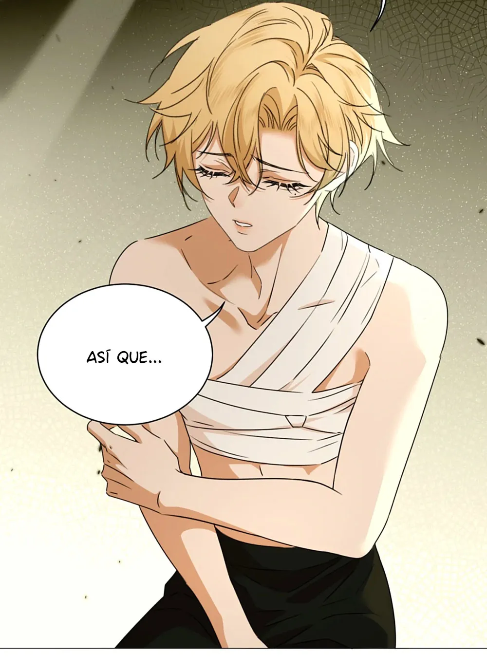 17 El príncipe y la pantera negra