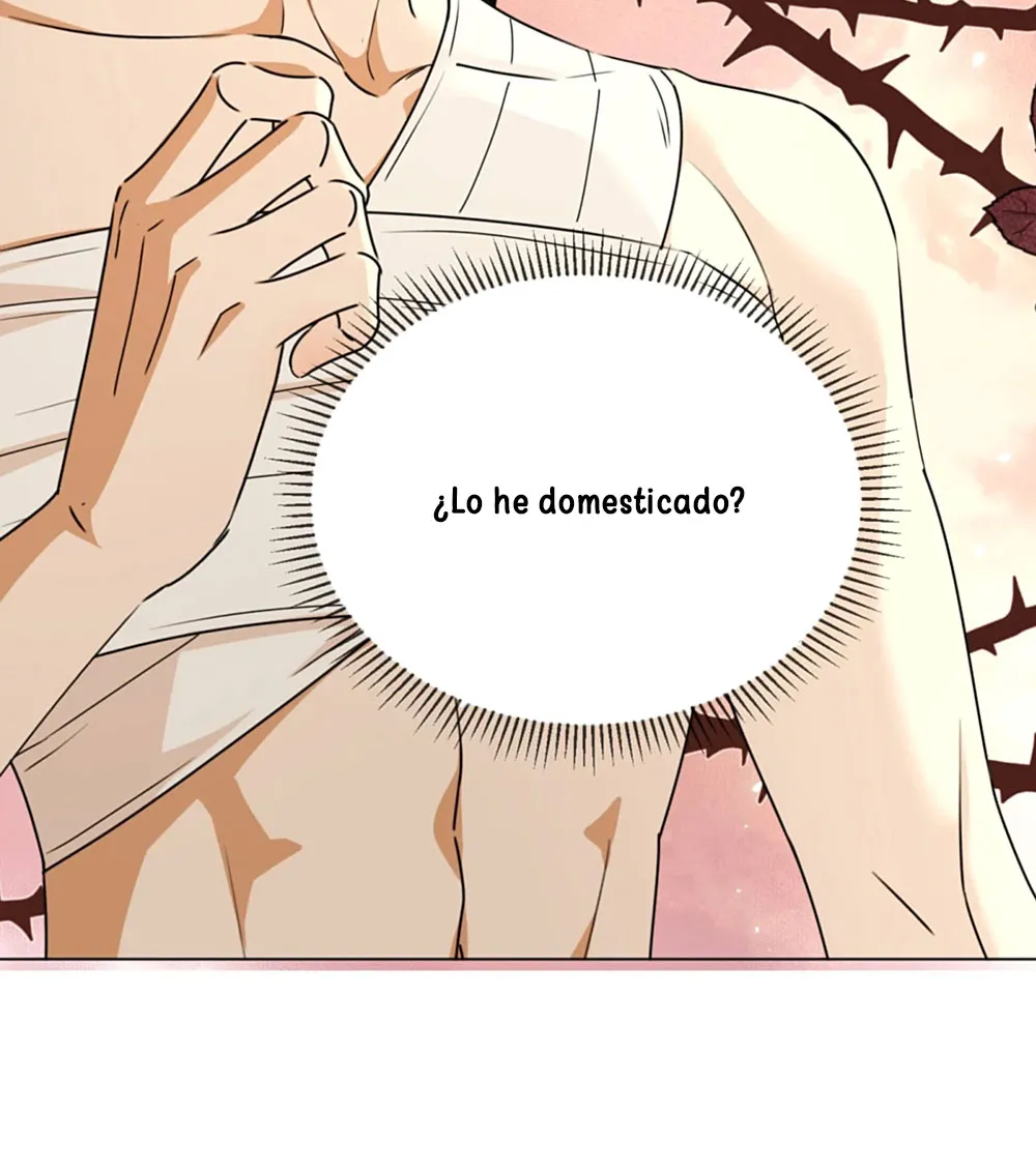 11 El príncipe y la pantera negra