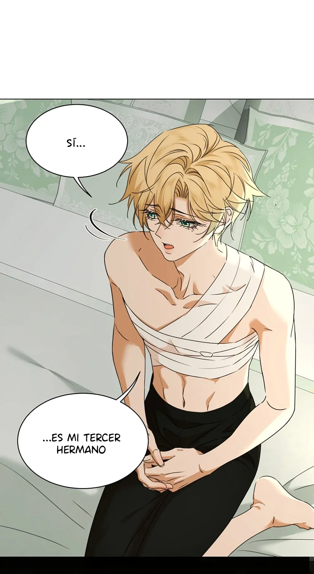 14 El príncipe y la pantera negra