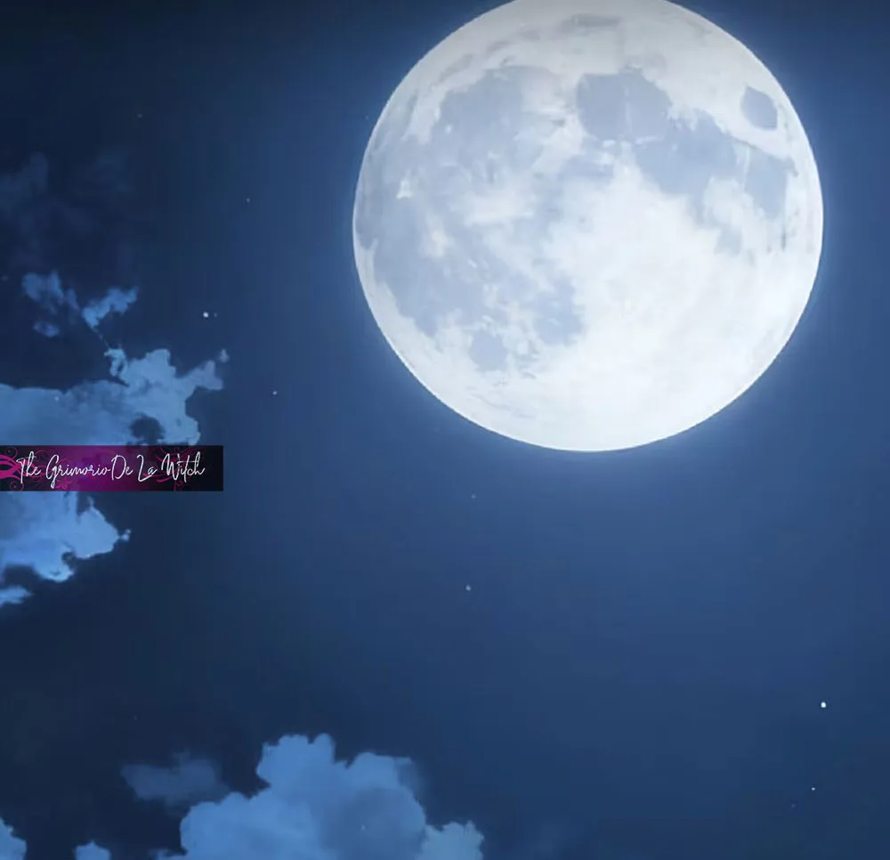 2 El príncipe y la pantera negra