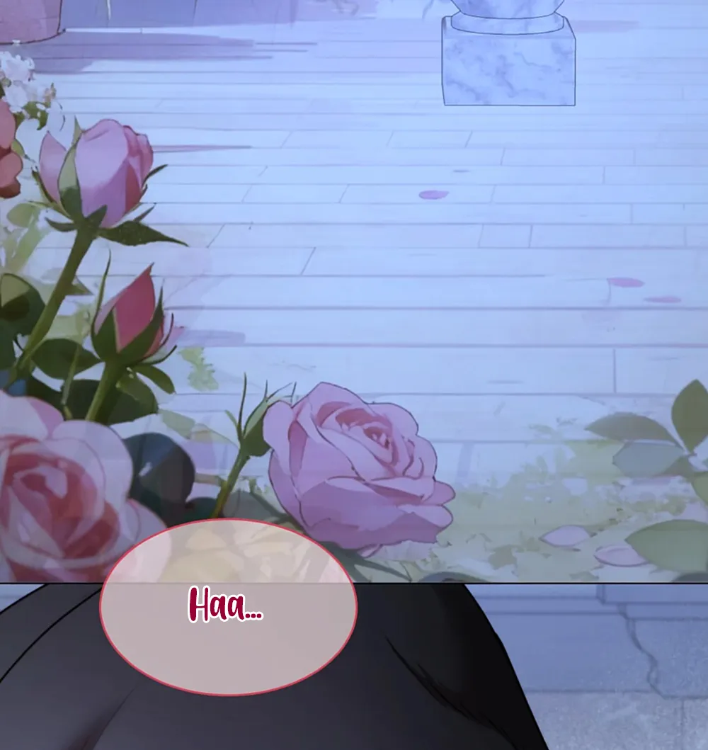 13 El príncipe y la pantera negra