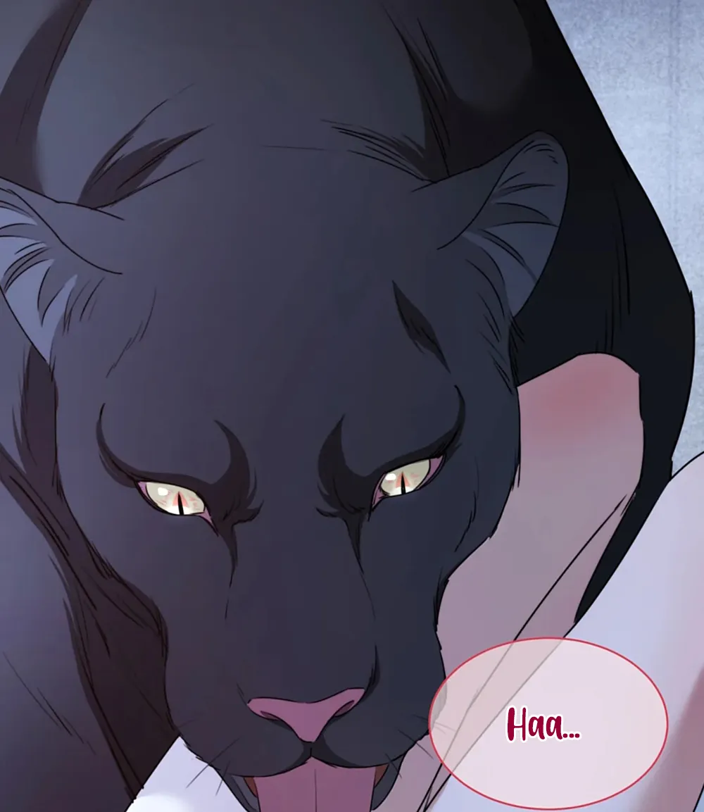 14 El príncipe y la pantera negra