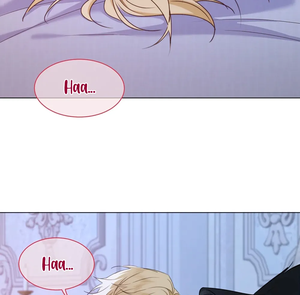 16 El príncipe y la pantera negra