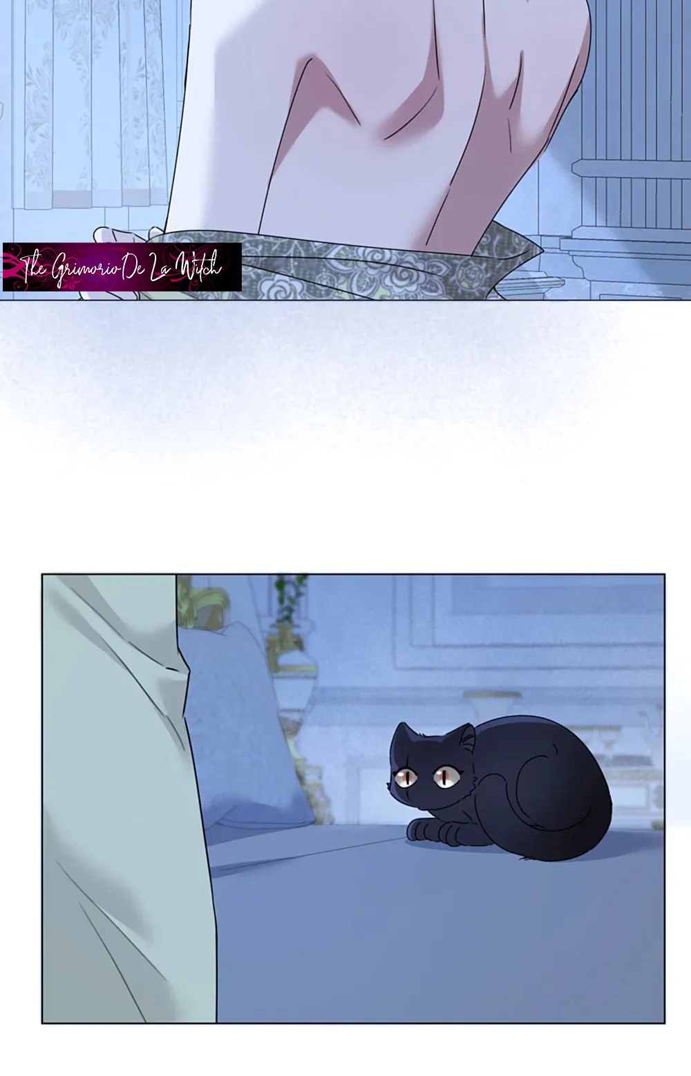 20 El príncipe y la pantera negra