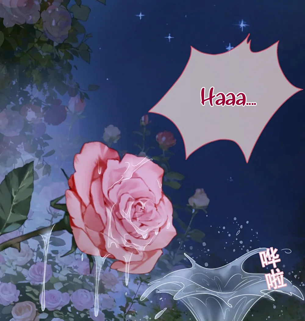 11 El príncipe y la pantera negra