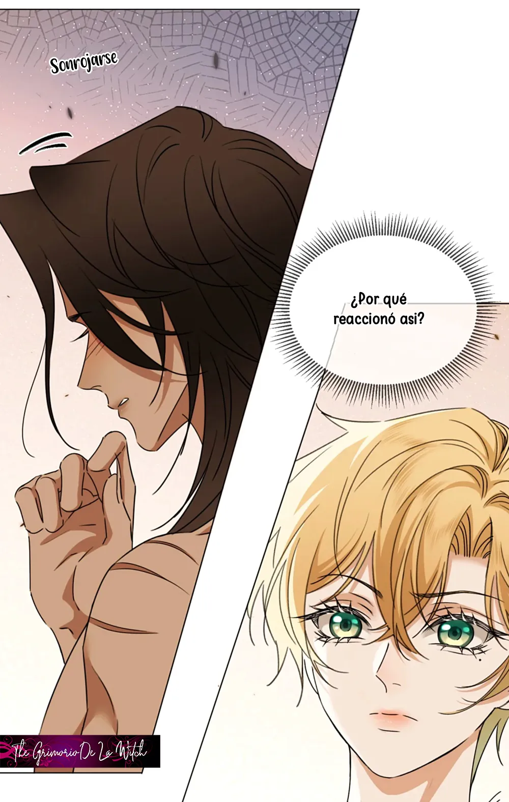 33 El príncipe y la pantera negra