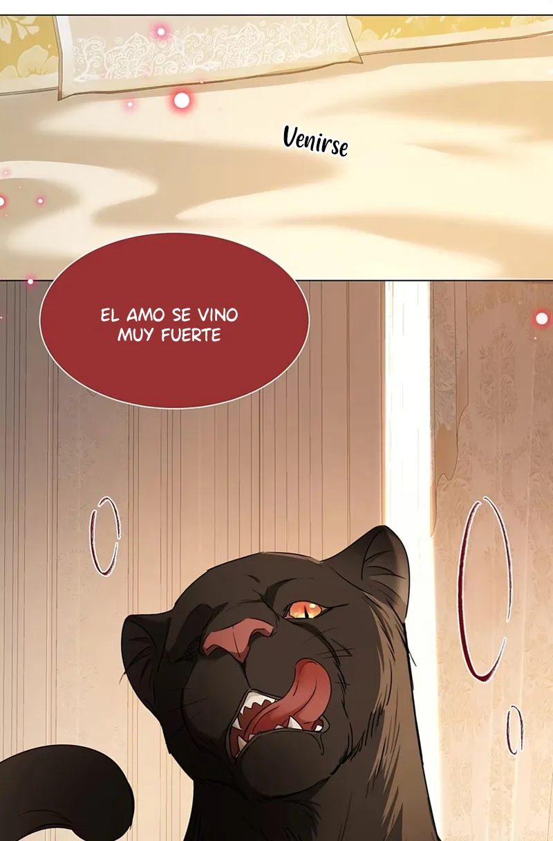 35 El príncipe y la pantera negra