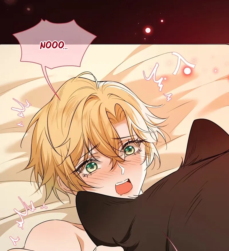 13 El príncipe y la pantera negra