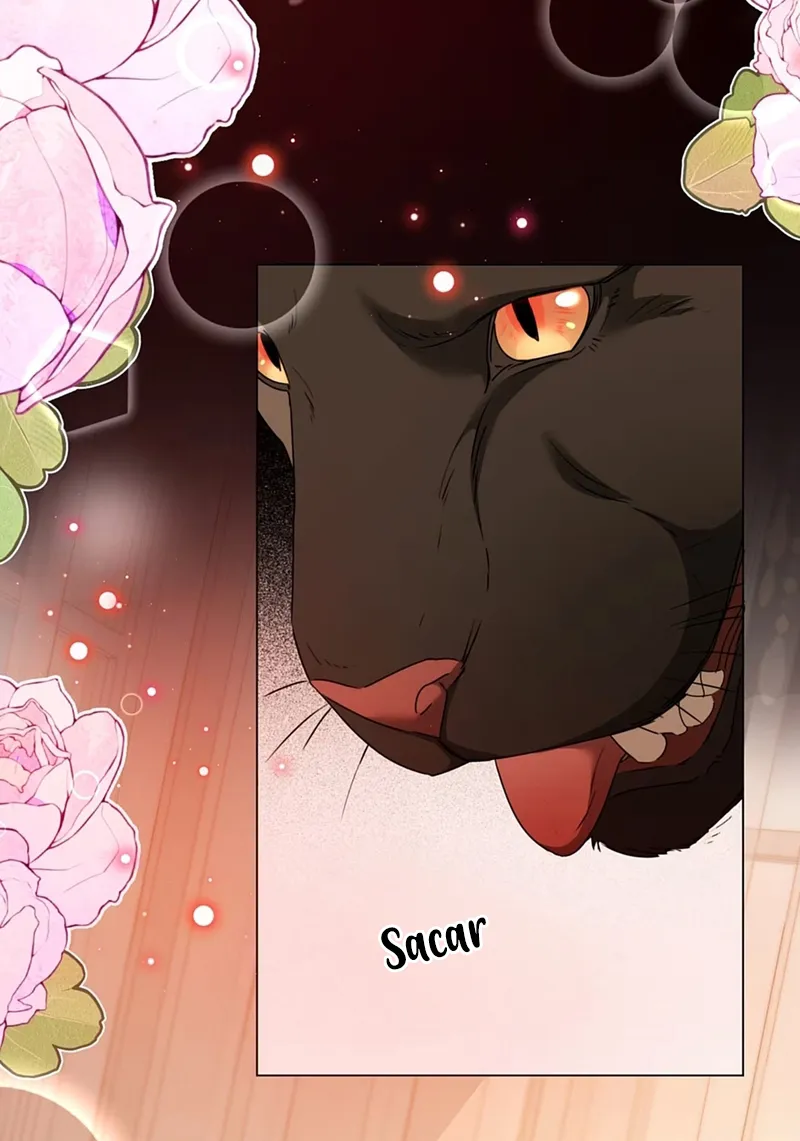 22 El príncipe y la pantera negra