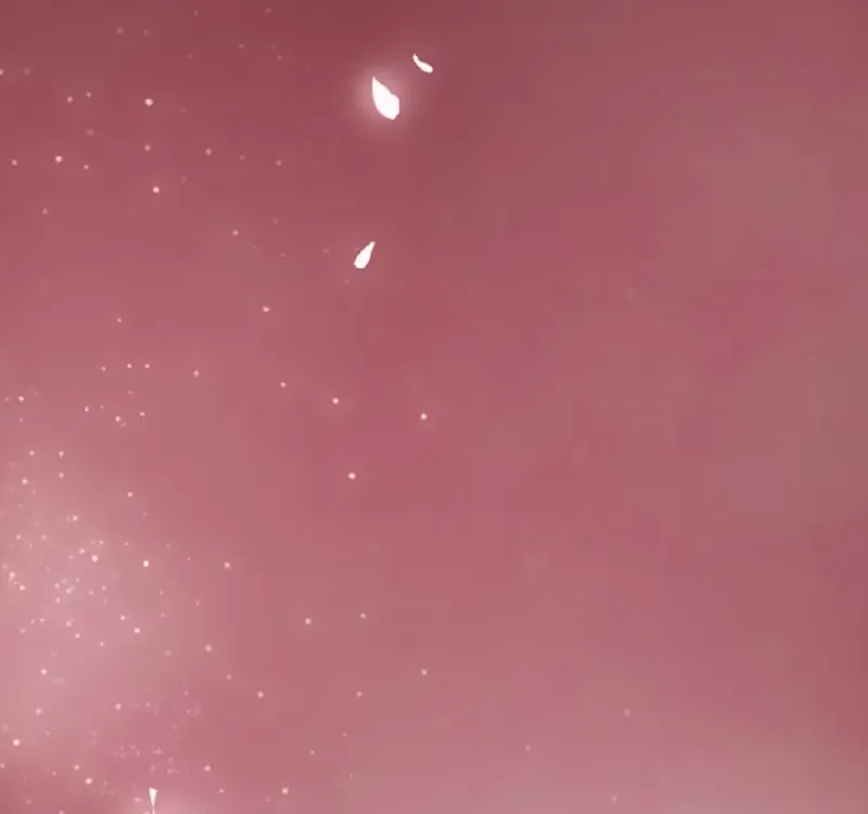 19 El príncipe y la pantera negra