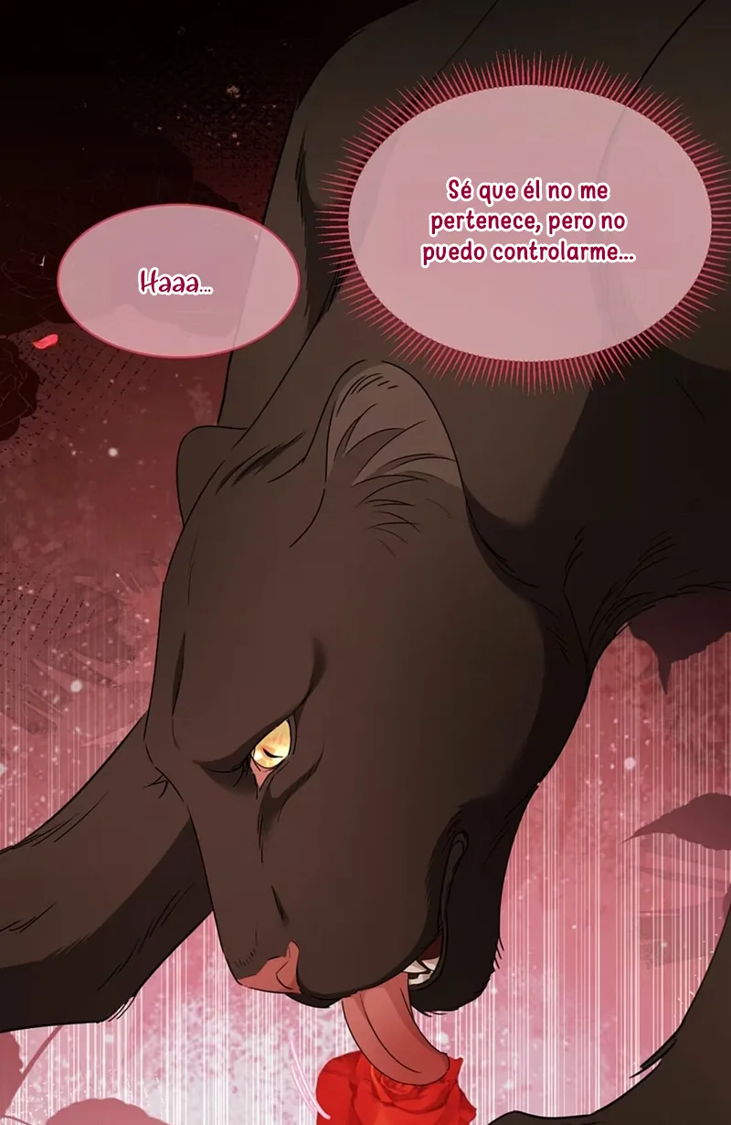 6 El príncipe y la pantera negra