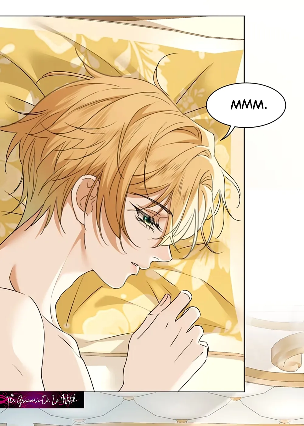 2 El príncipe y la pantera negra