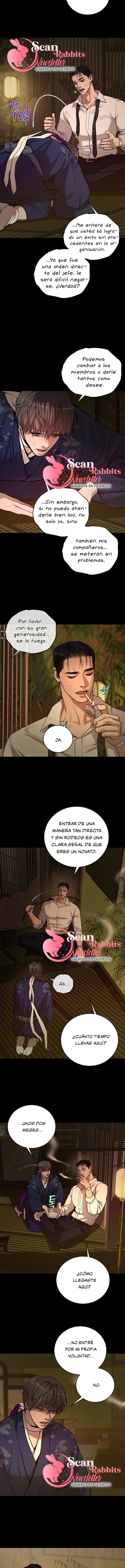 3 Shell Boy: Enciendelo
