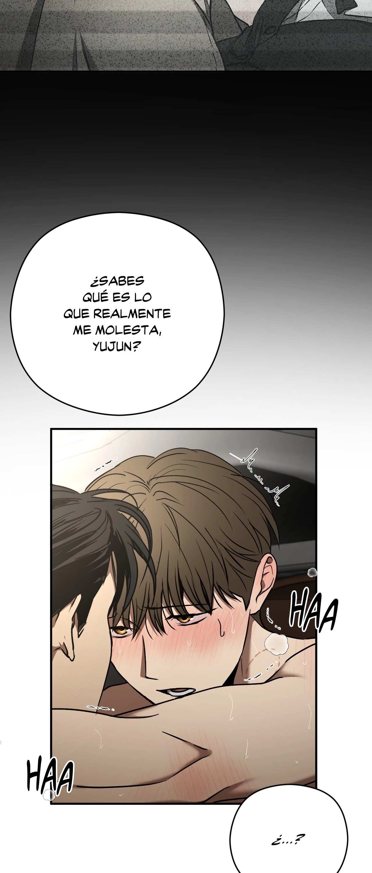 14 Víbora