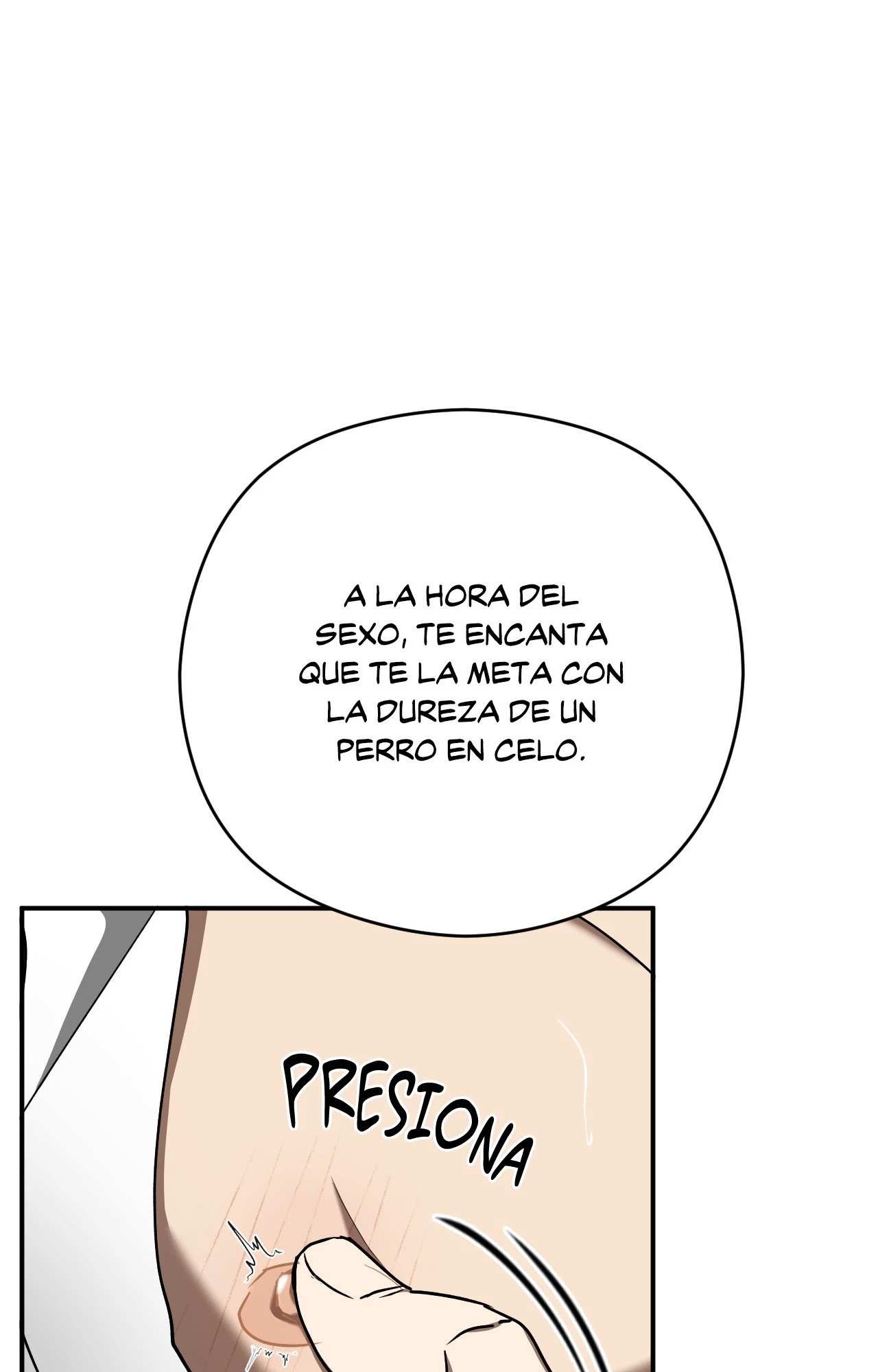 19 Víbora