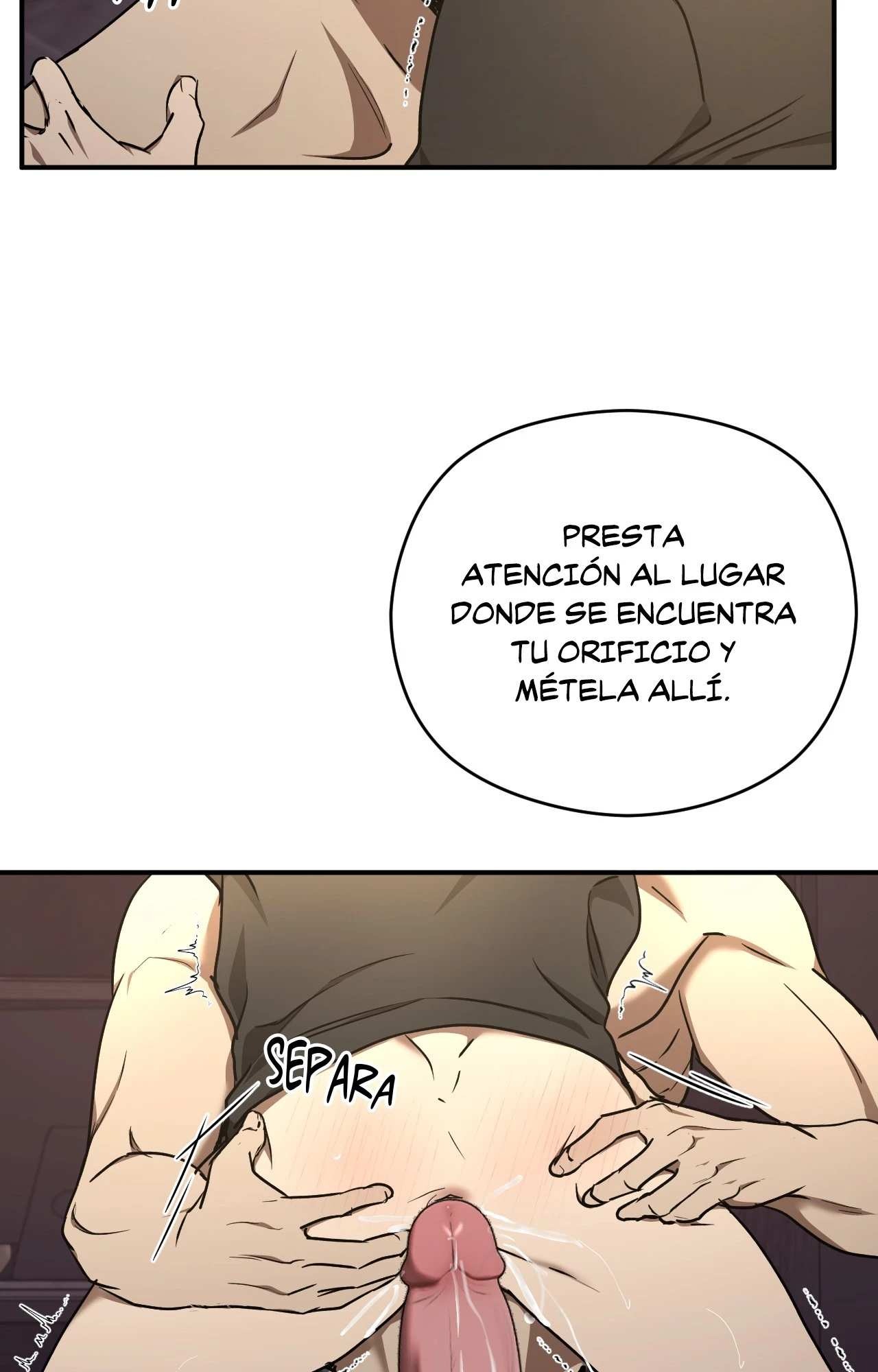 53 Víbora