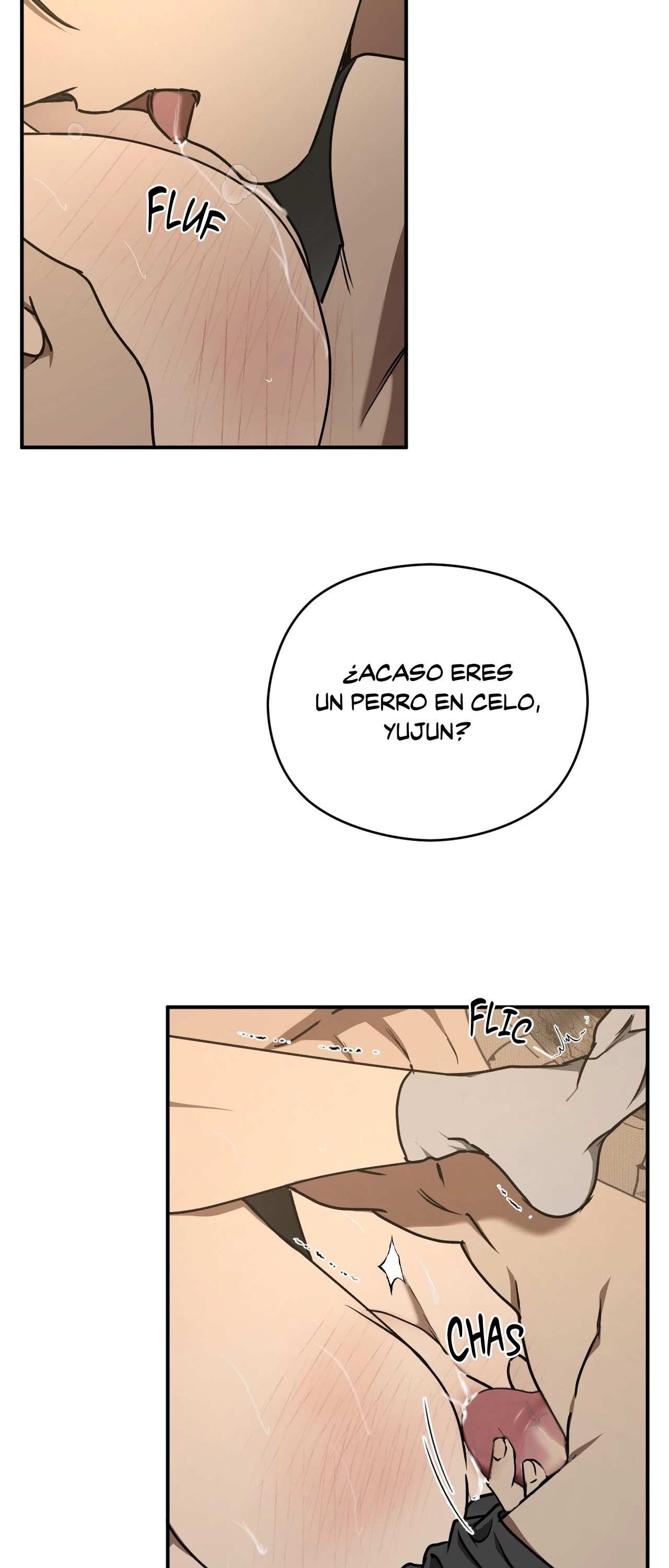 37 Víbora