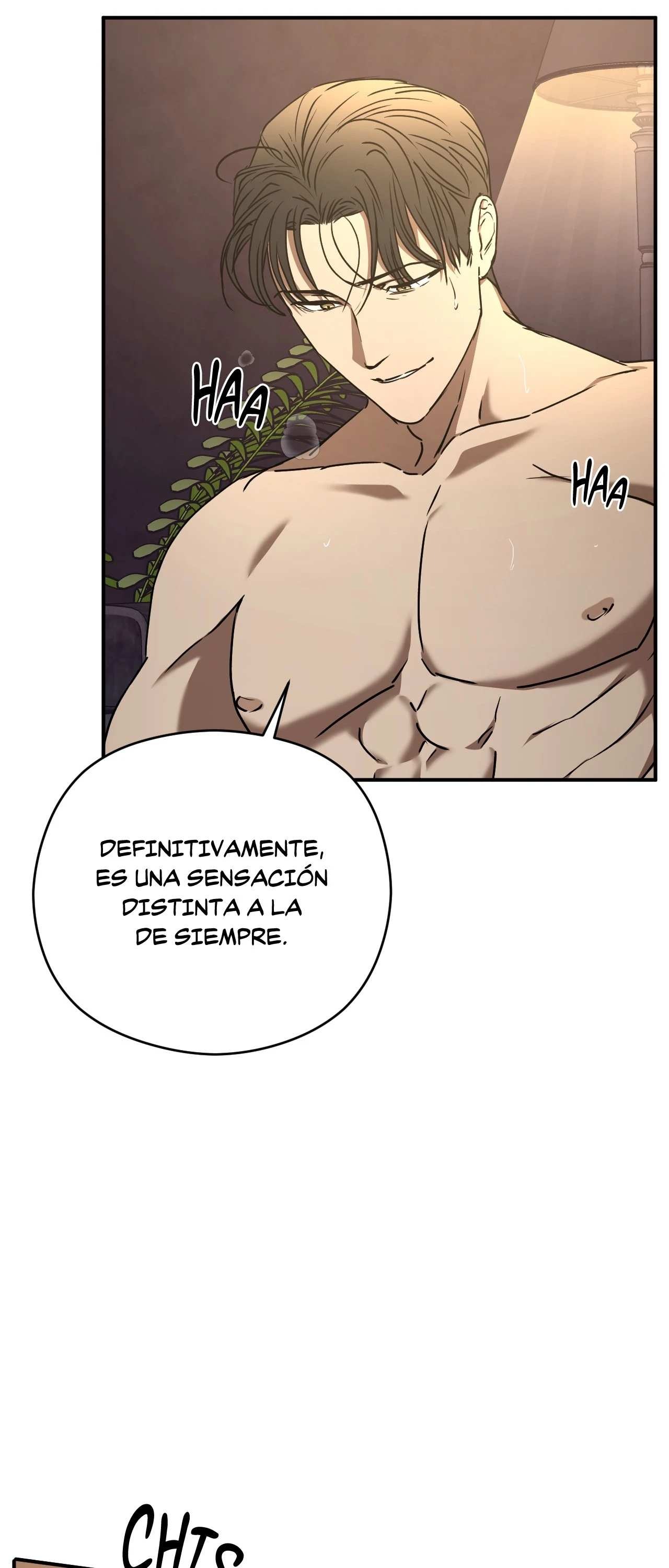 41 Víbora
