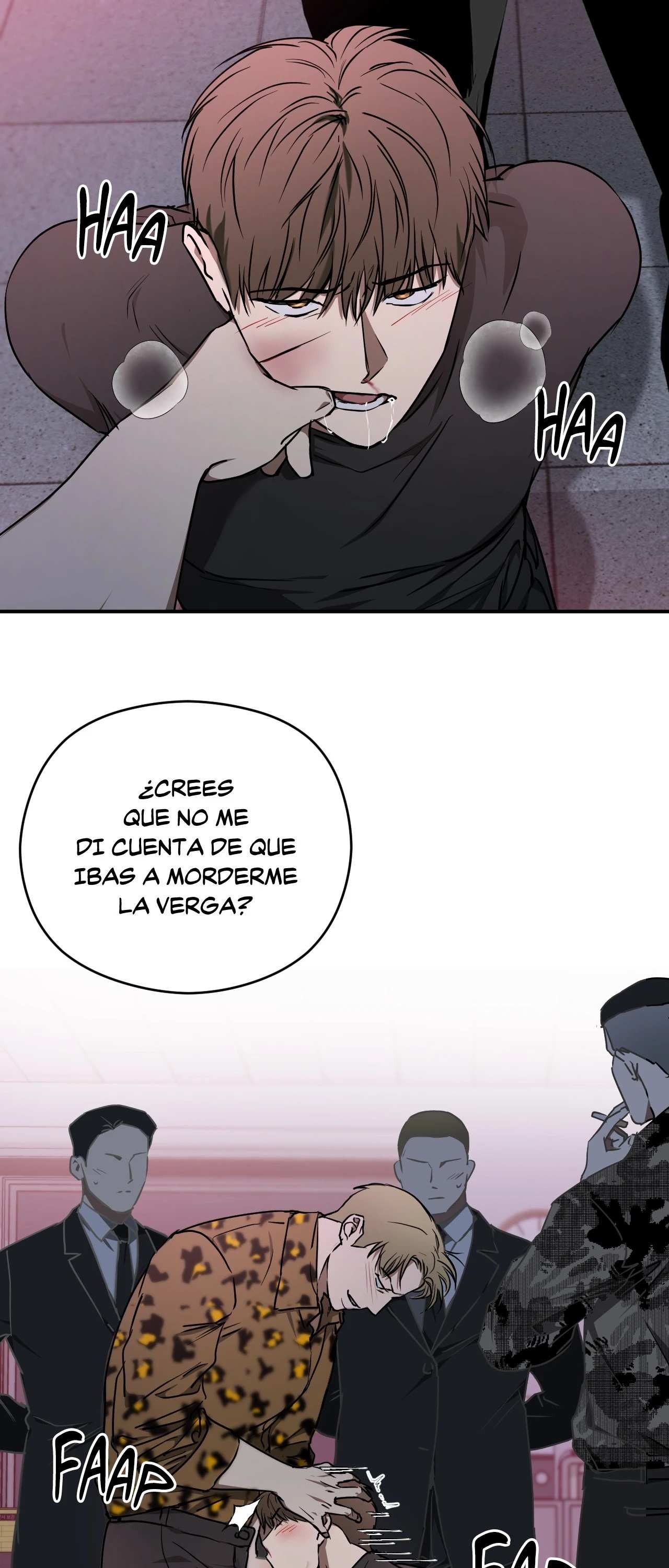 27 Víbora