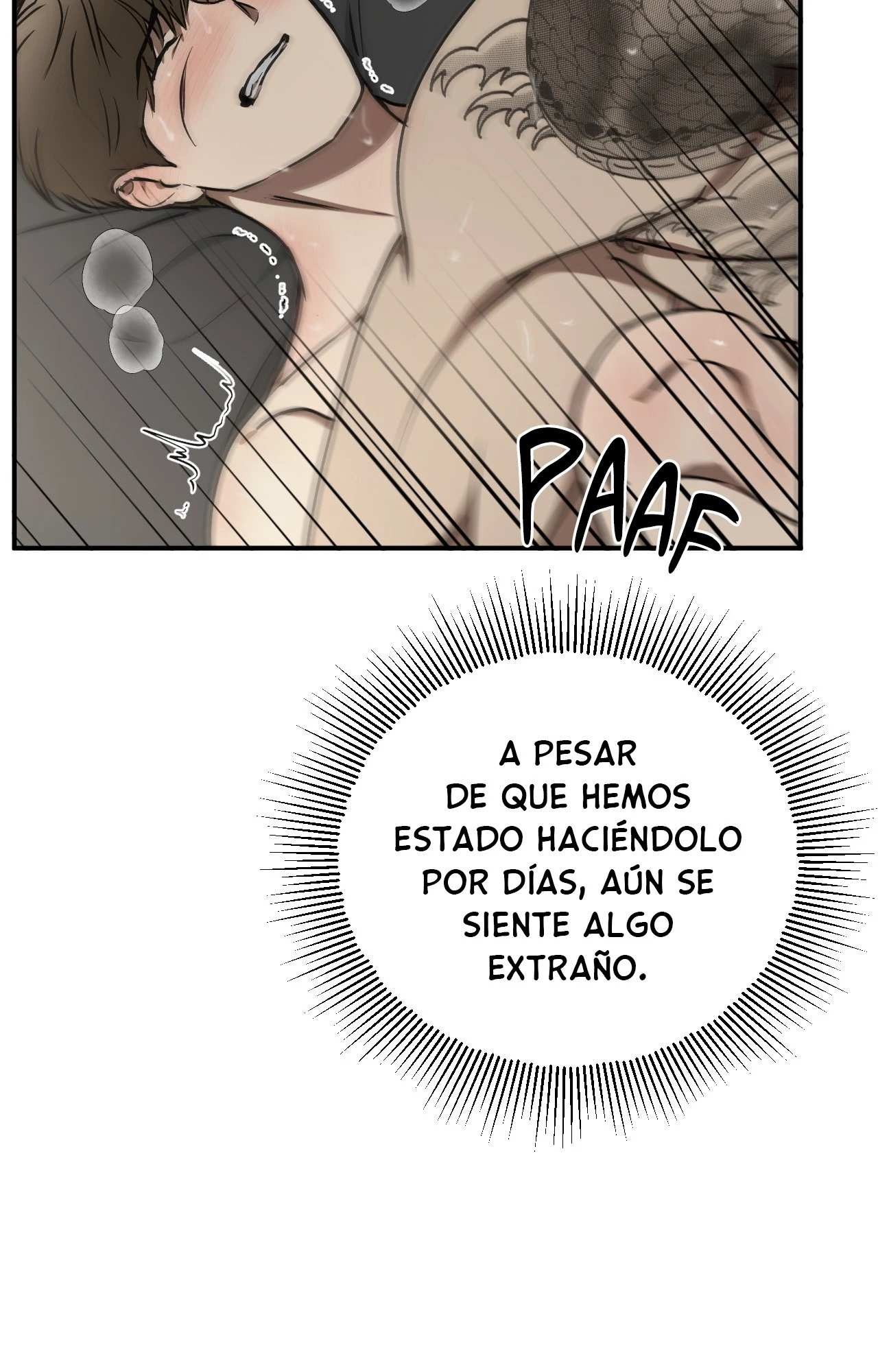21 Víbora