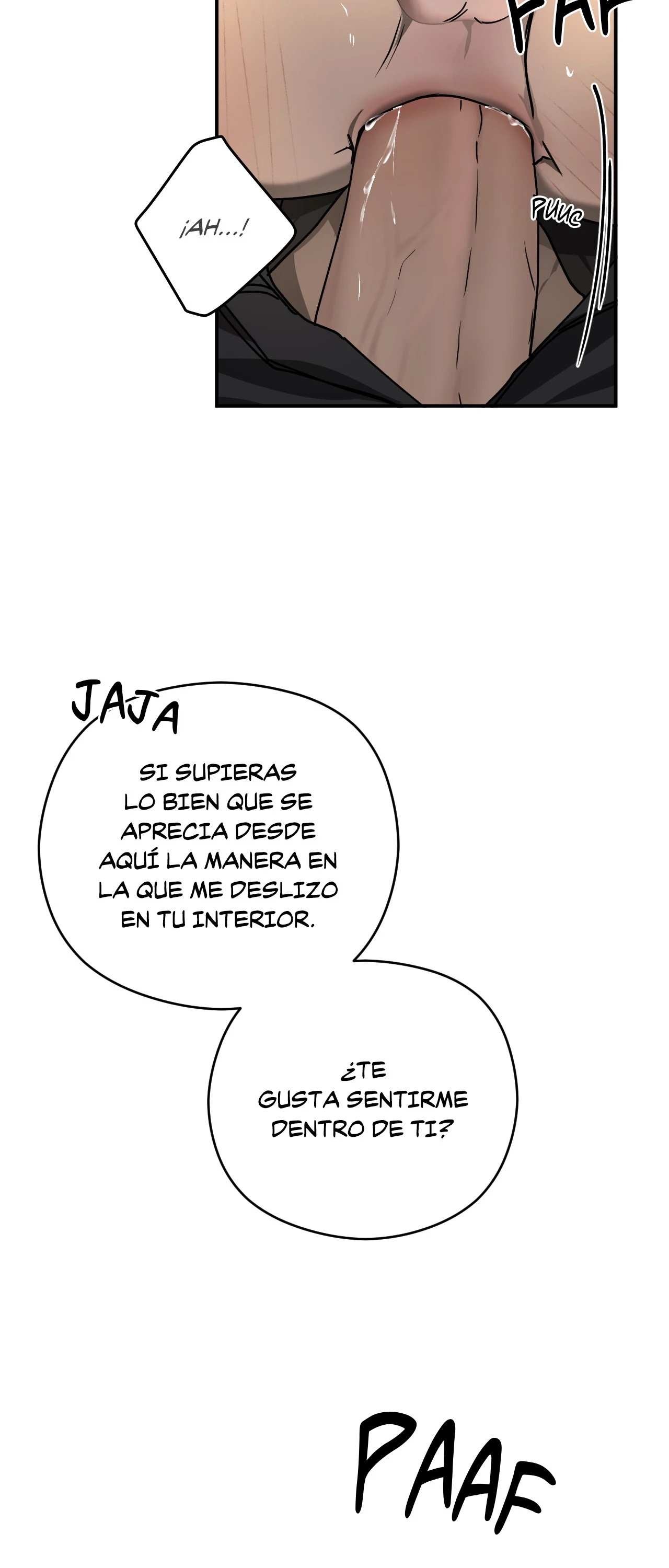 38 Víbora