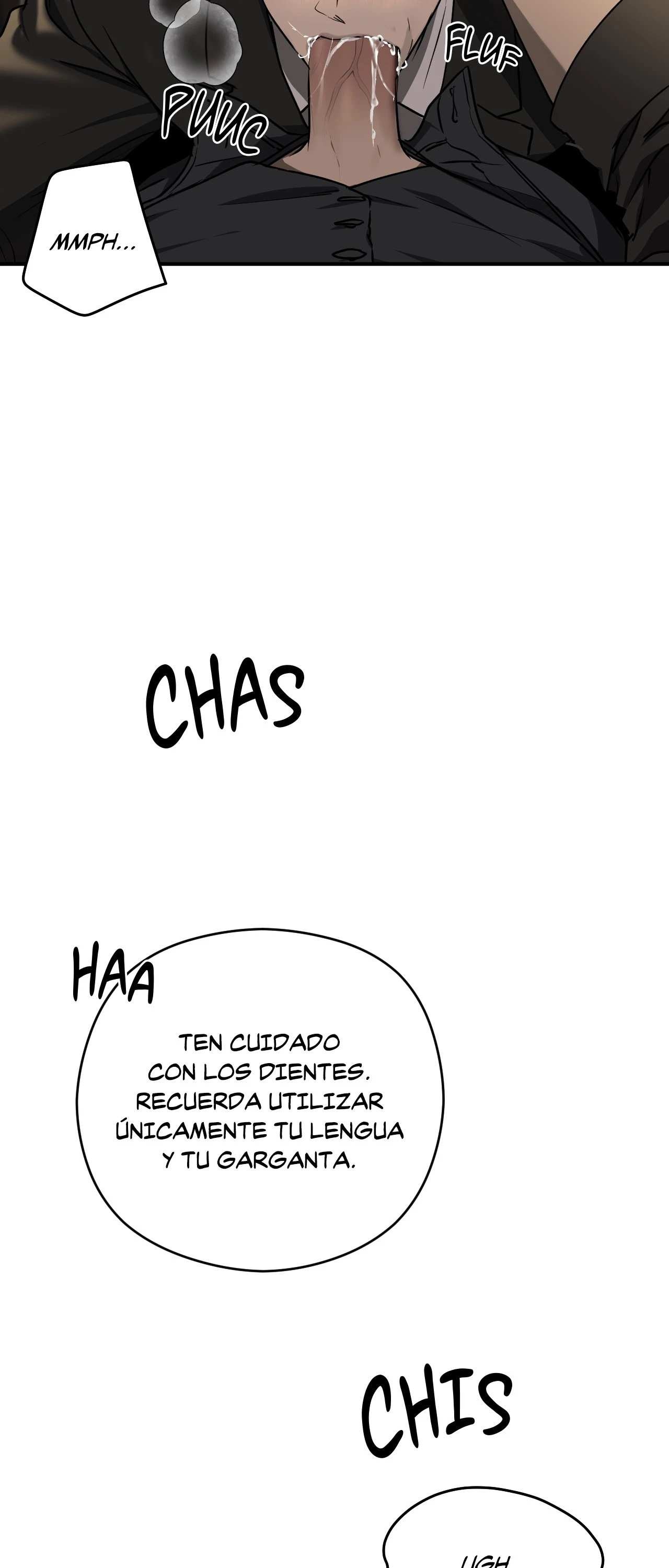 20 Víbora