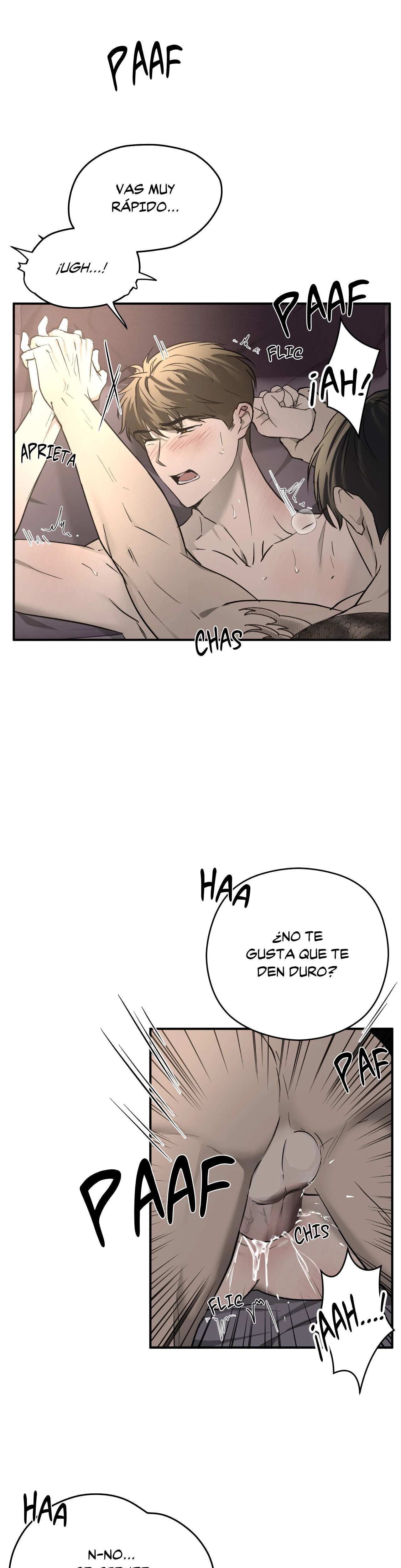 18 Víbora