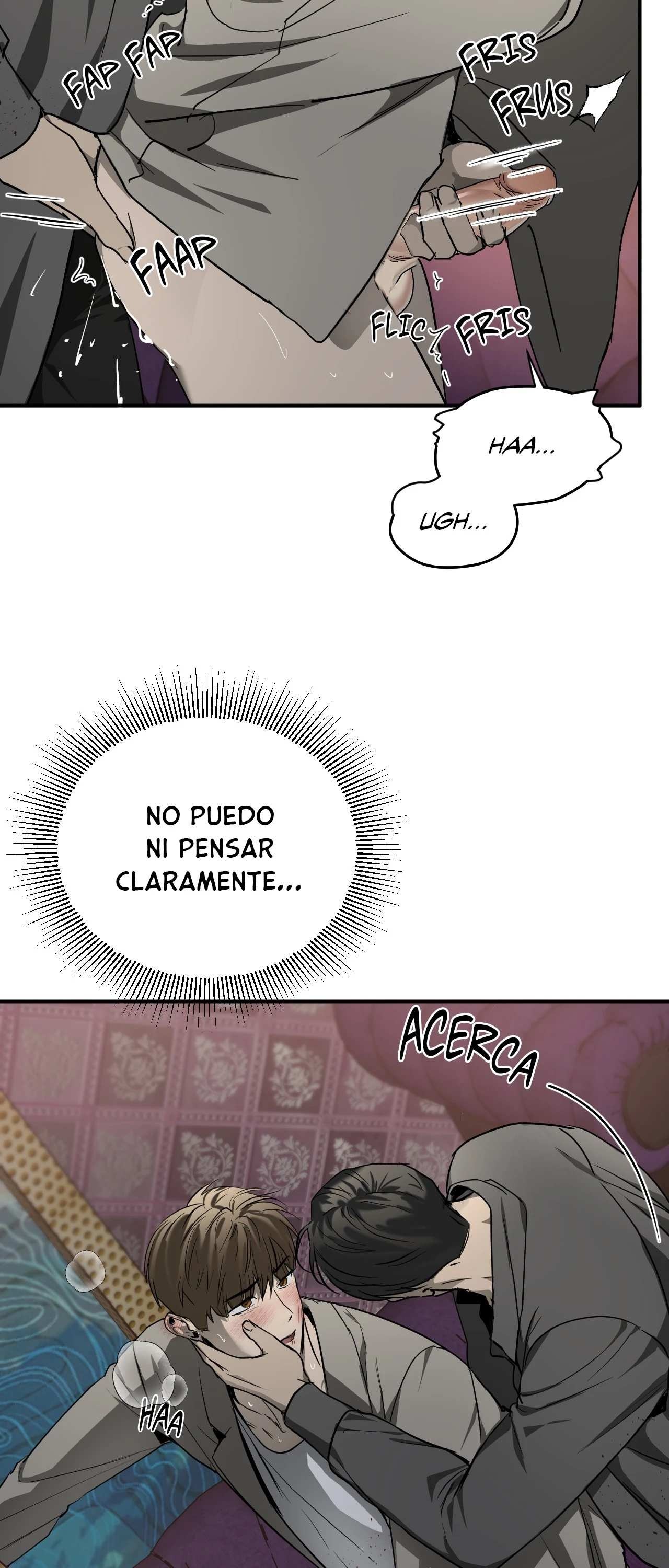 41 Víbora