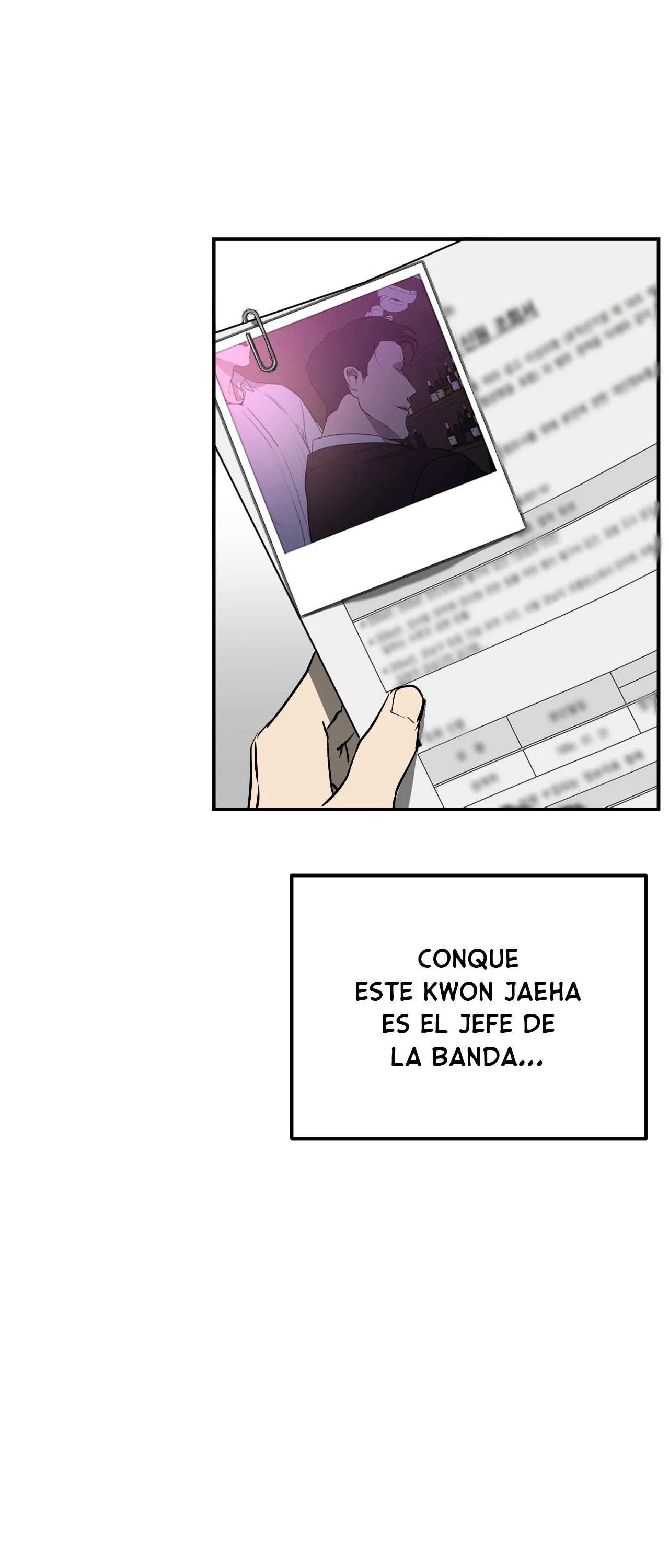 27 Víbora