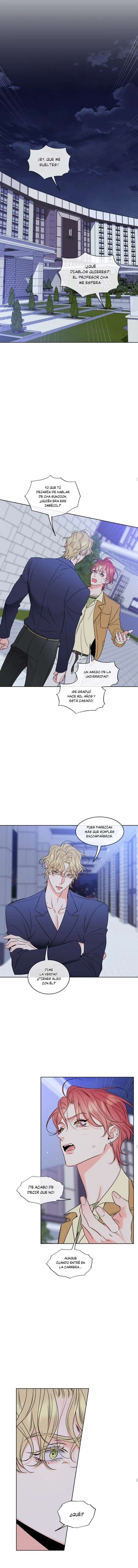 4 Líos de Miel