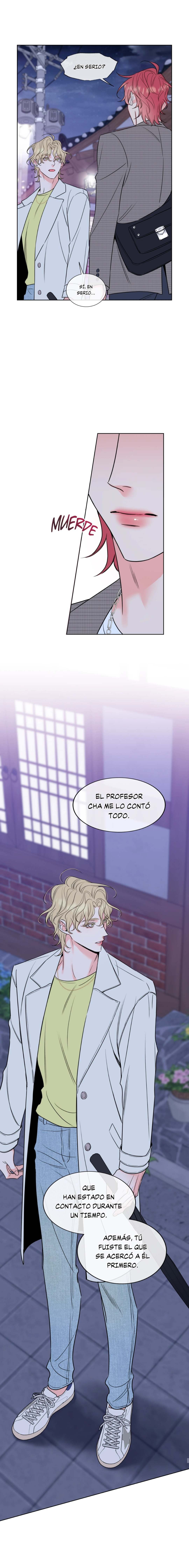12 Líos de Miel