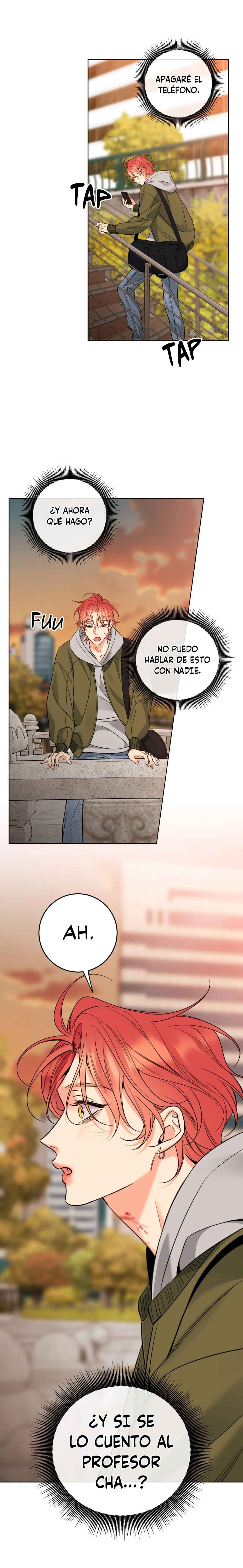 13 Líos de Miel