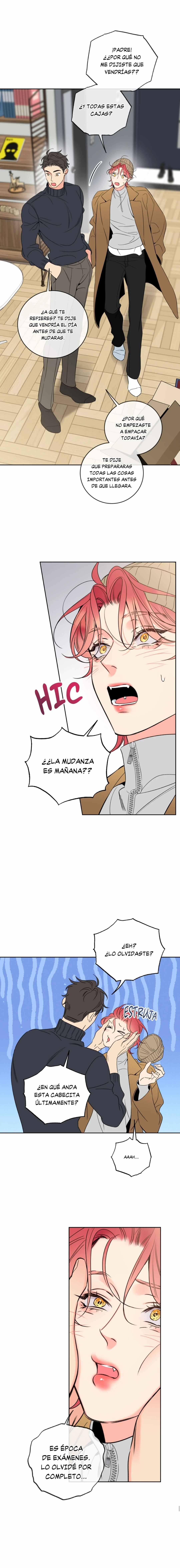 12 Líos de Miel