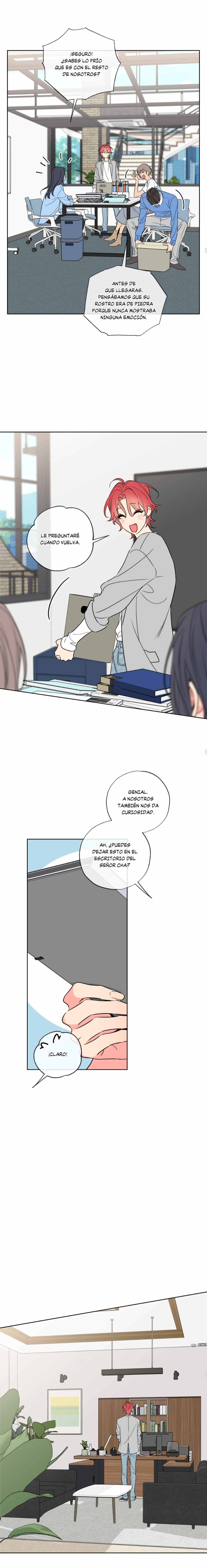 5 Líos de Miel