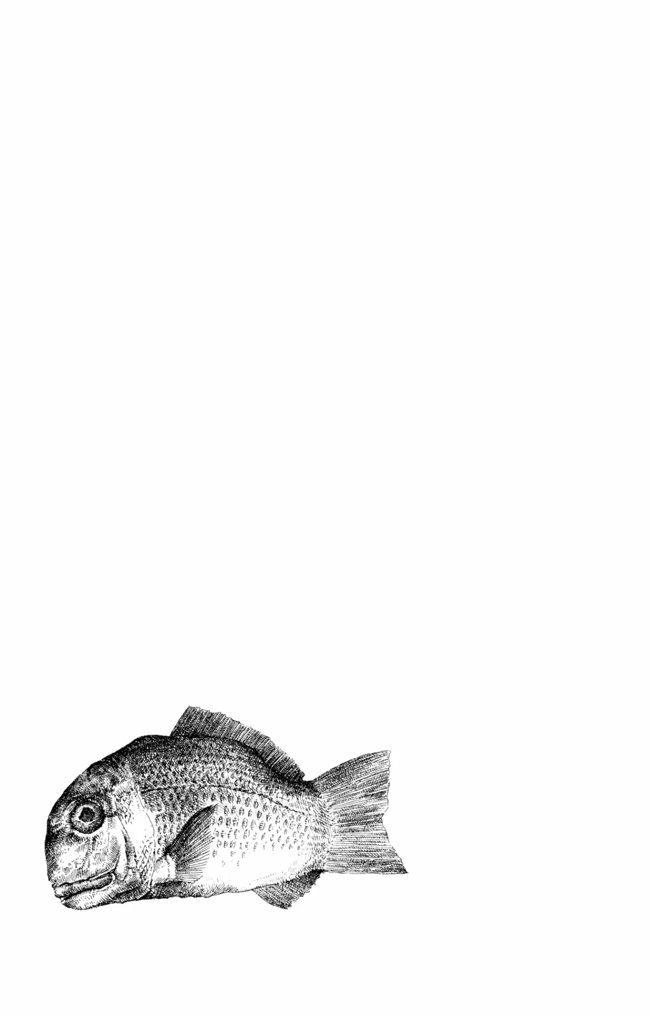 7 Acuario Ashizuri