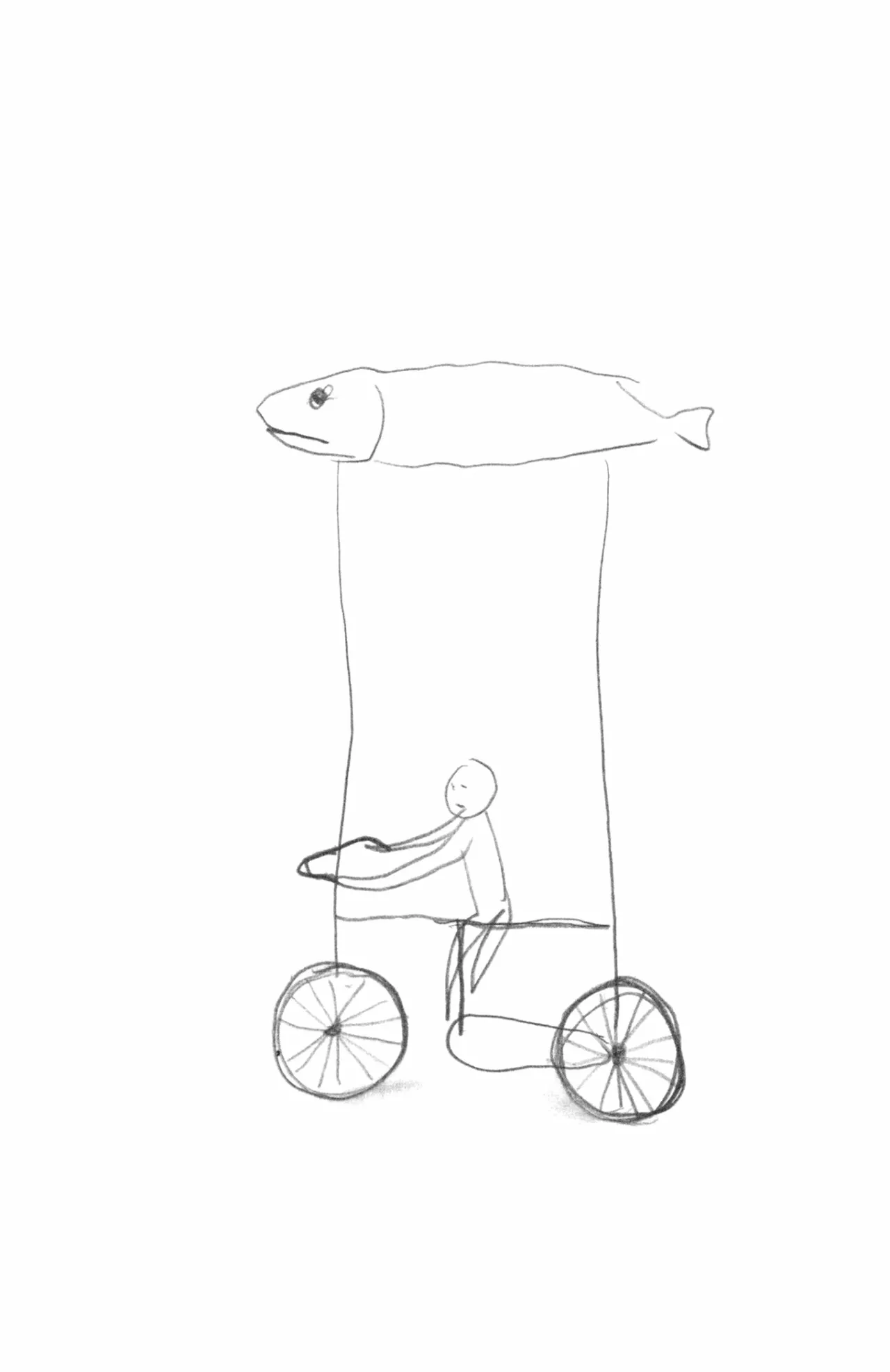48 Acuario Ashizuri