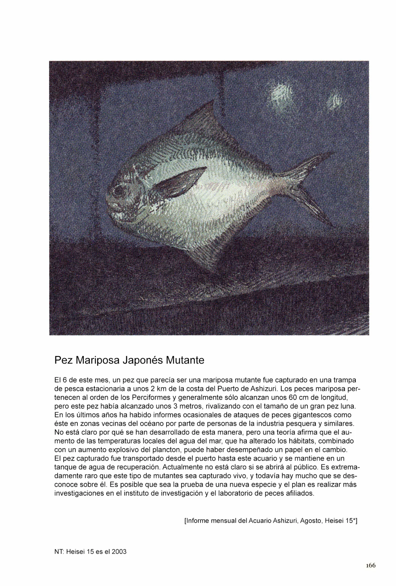 15 Acuario Ashizuri