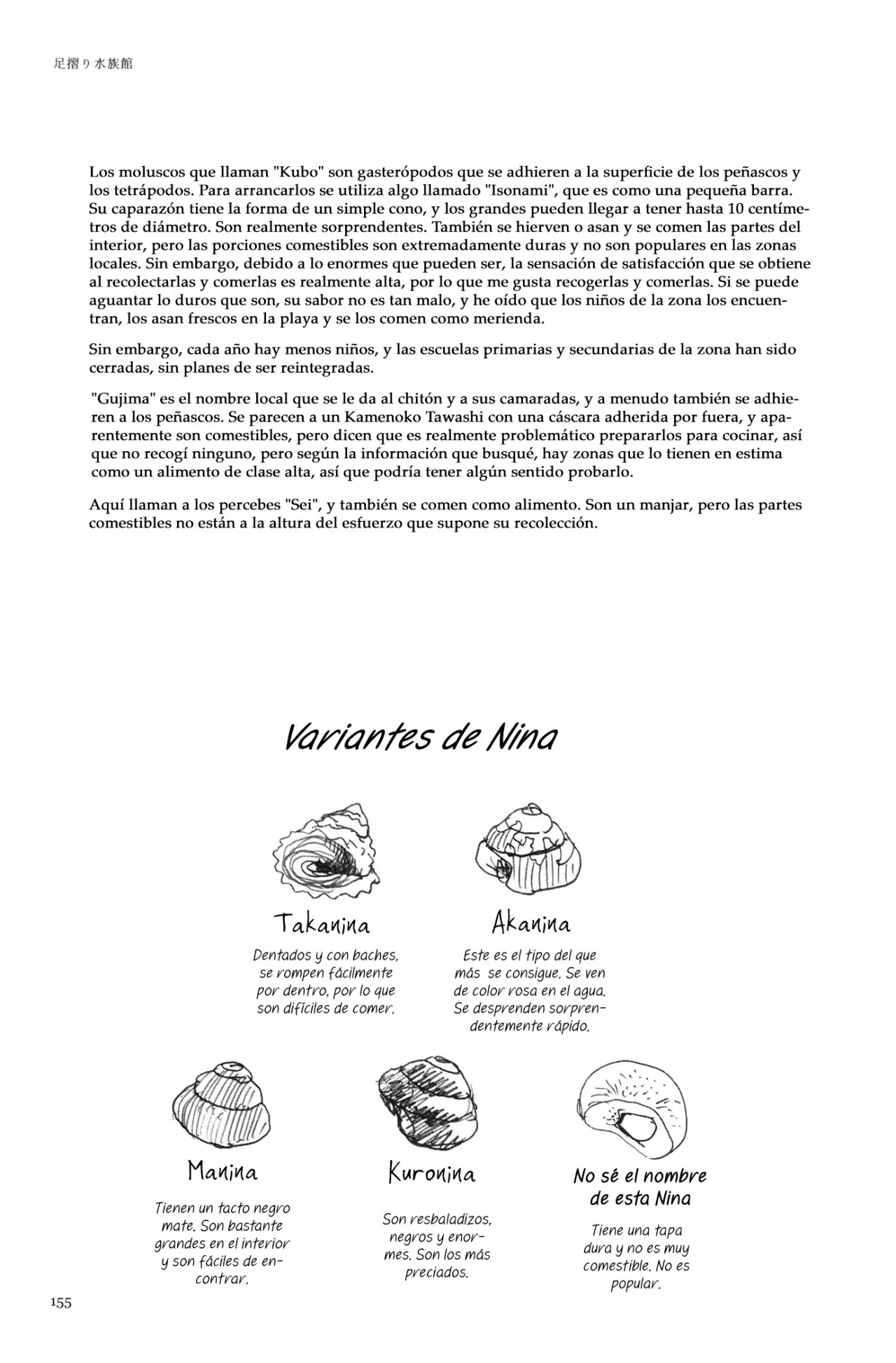 4 Acuario Ashizuri