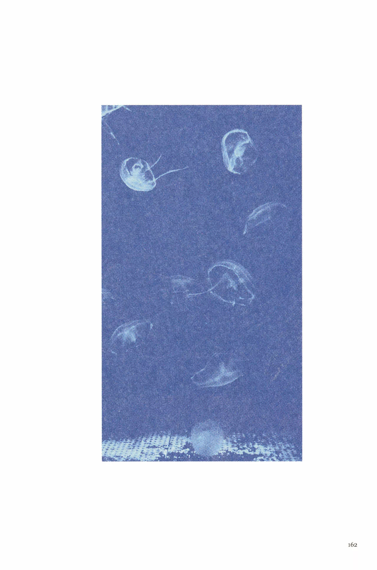 11 Acuario Ashizuri