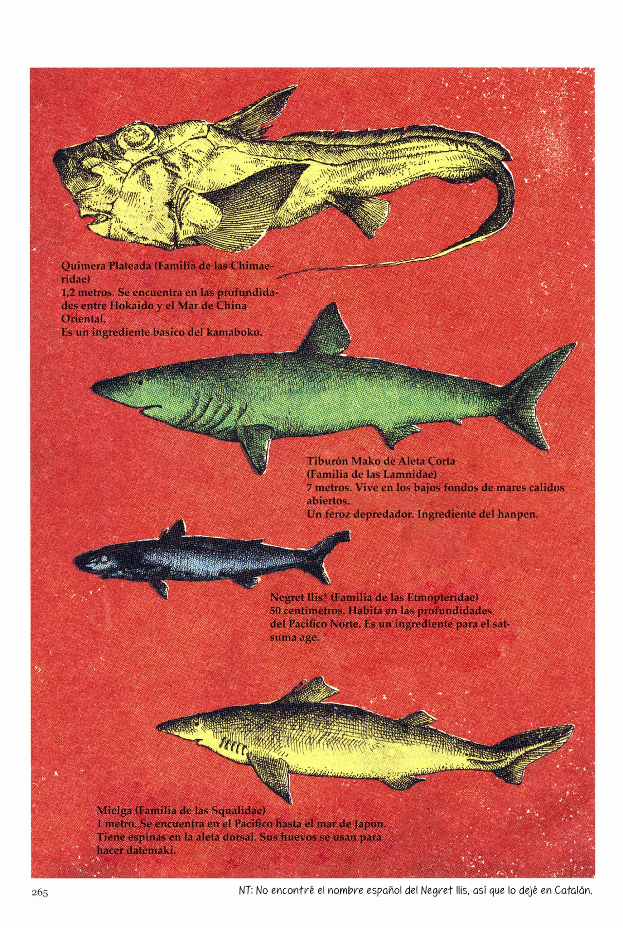 7 Acuario Ashizuri