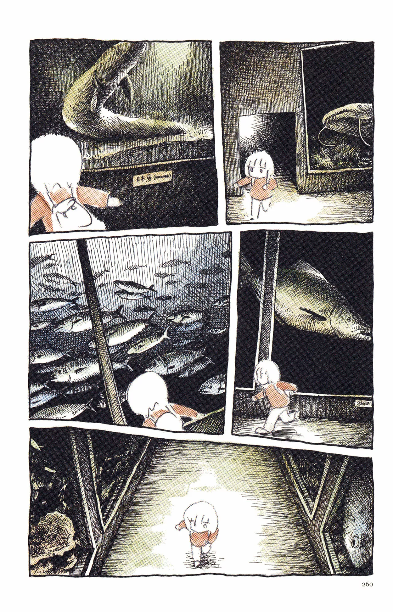 2 Acuario Ashizuri