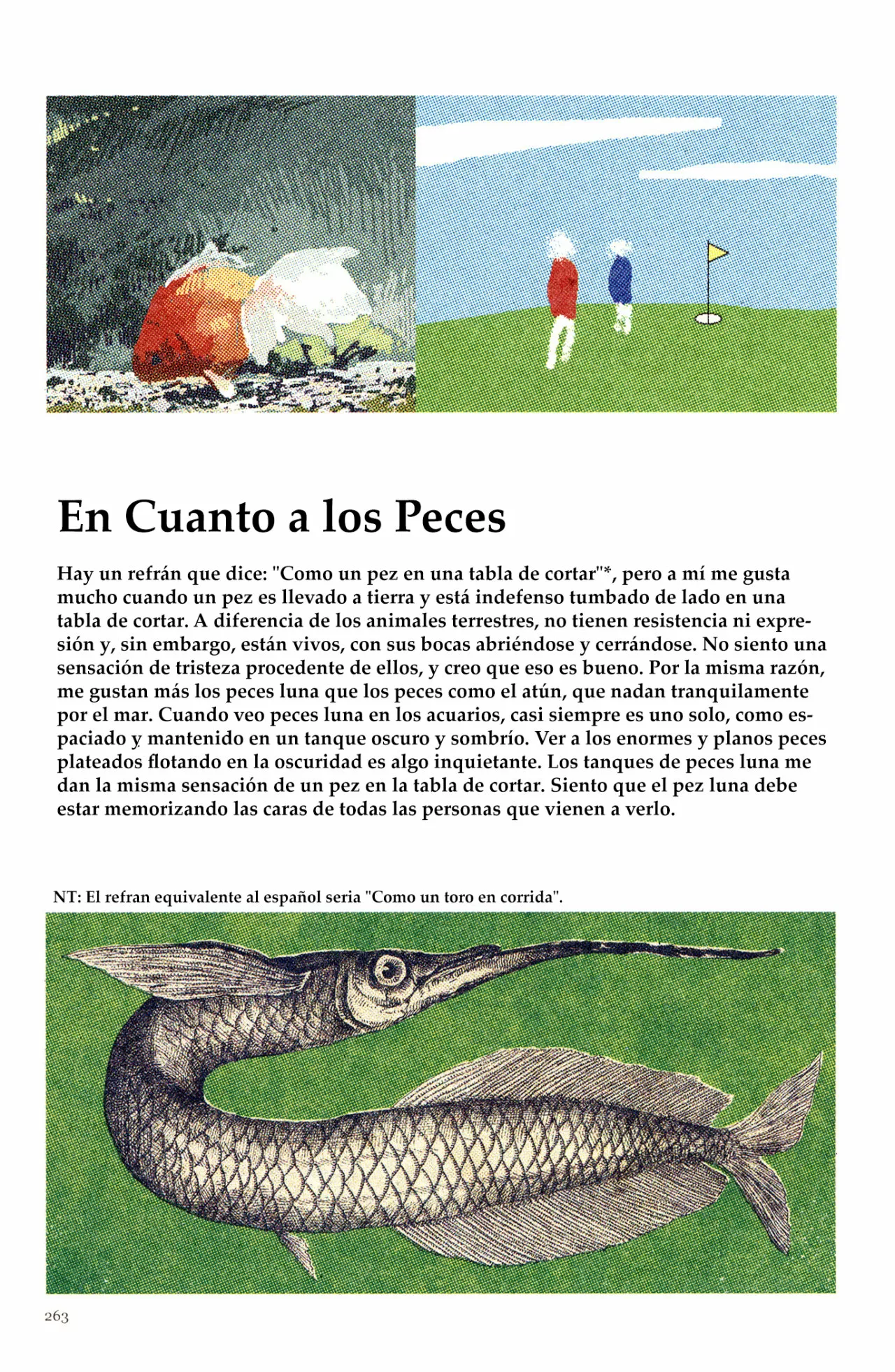 5 Acuario Ashizuri
